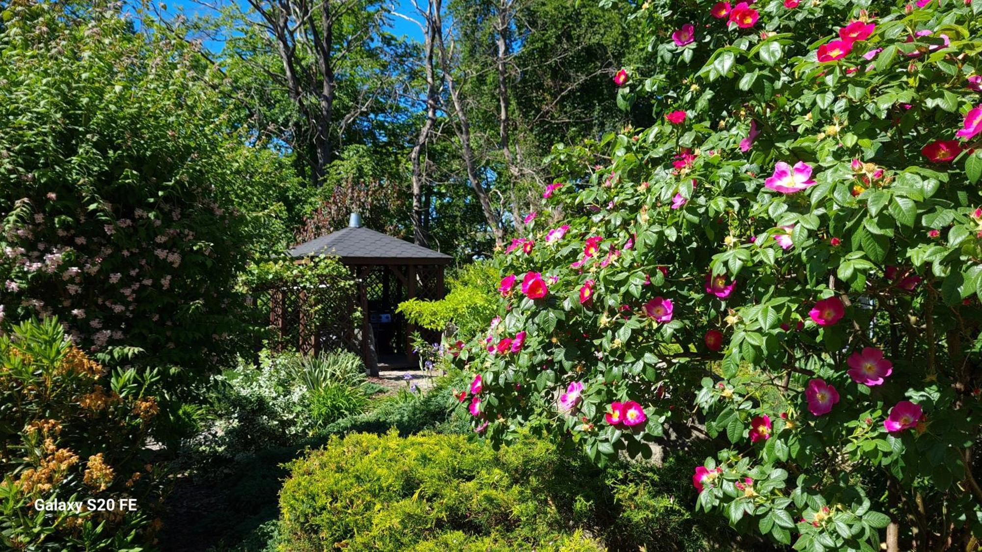 Wicko  Dom Na Bukowym Wzgorzu B&B 외부 사진