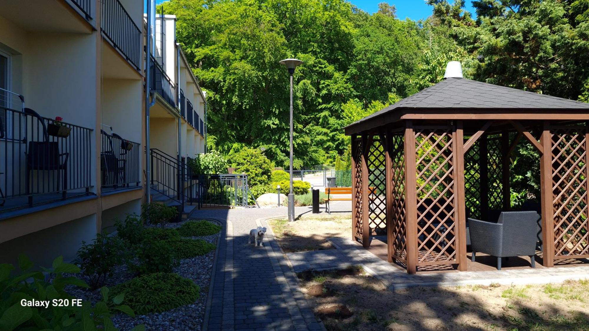Wicko  Dom Na Bukowym Wzgorzu B&B 외부 사진